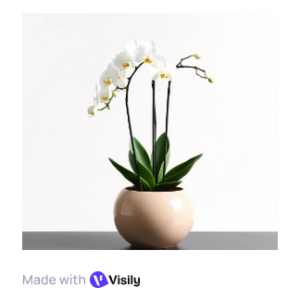 Luxury Orchid Planter